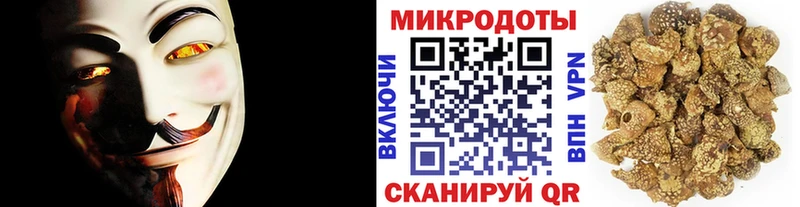 Галлюциногенные грибы мицелий это как зайти Вилюйск